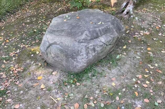 聲遠論壇關注濟寧,我欠捷信錢七年沒還了?