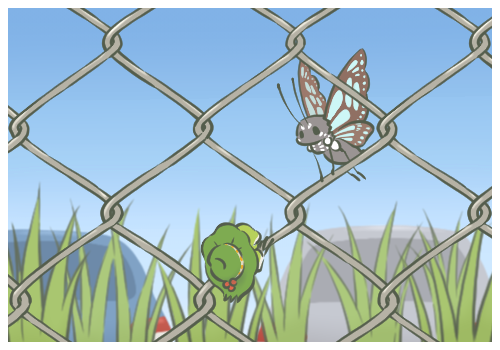 西洋參的功效與作用,百合的功效與作用