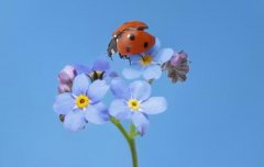 ݰ׾ʲô?ݾƿԉꖆ