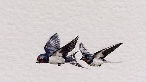 吃過精的女士們口述_寡婦下面太緊了夾死我了