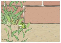 降真香的功效與作用,蒸蘋(píng)果的功效與禁忌