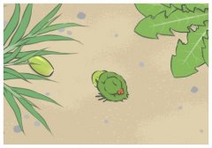 徐長(zhǎng)卿的功效與作用,松針泡酒的功效與作用