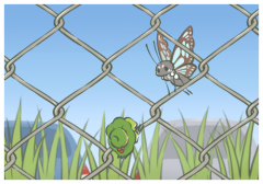 撞王楚欽的瑞典女記者被處罰,王楚欽第一時(shí)間收起球拍