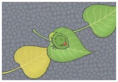 知天命之年指的是多少歲?上升星座是什么意思?