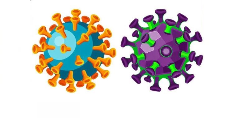甲流和新冠哪個嚴重